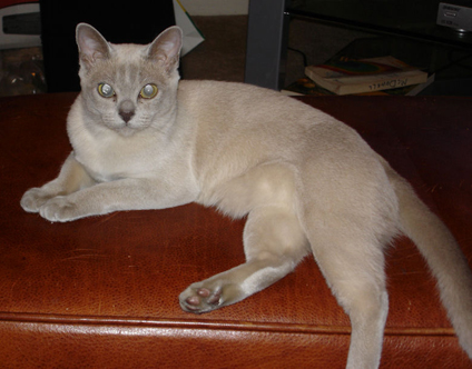 Glamour pose of Grace on ottoman