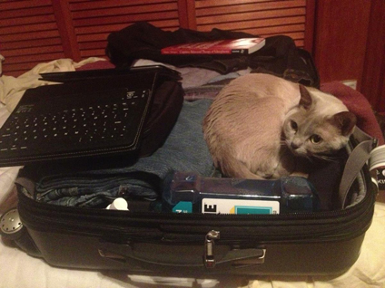 Grace hoping to get packed on my next trip